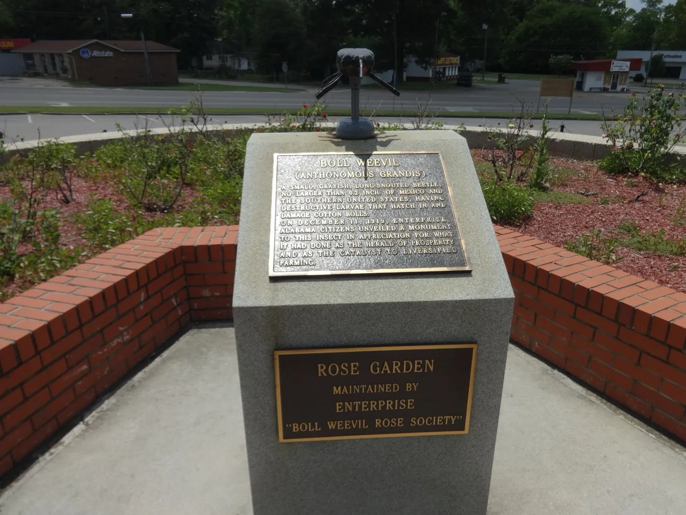 Boll weevil statue and plaque in the rose garden at Enterprise City Hall